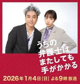 我家的律师又惹麻烦了特别篇海报
