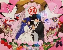 乱马1/2:OVA 珊璞暴变—反转宝珠之祸海报